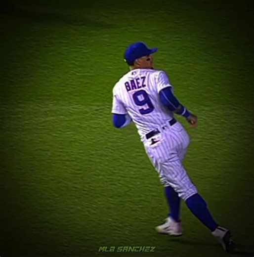 Celebrating Mago: Javier Baez in Major League Baseball