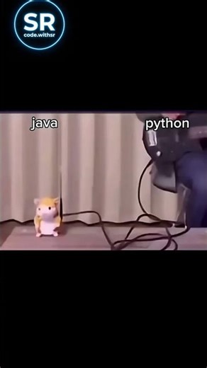 tinterpreted vs compiled language #coding #programming #javascript #python