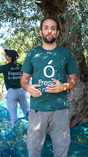 ⏳ Précommandez votre huile extra fraîche issue de la récolte 2025 en grand format et recevez en cadeau une bouteille de service Edition Limitée. | Olixir - Food For Health