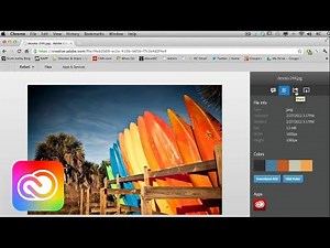 Sharing and downloading files in Creative Cloud | Adobe Creative Cloud