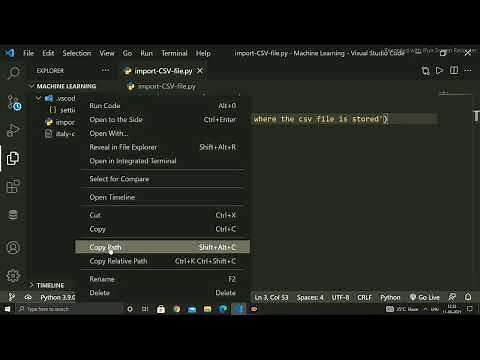 How to Import CSV File in Python Visual Studio Code Using Pandas