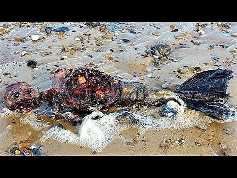 10 Mythical Sea Creatures