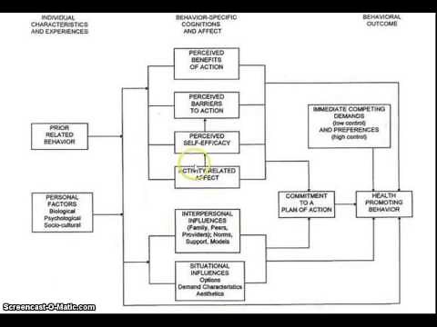 Nola Pender's Health Promotion Model