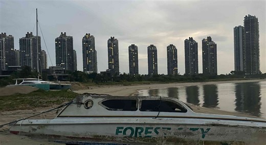 Forest City reimagined