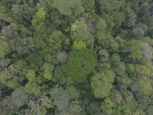 Geographic Information System (GIS) Services - The Claremont Colleges Library