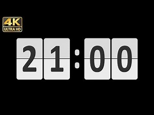 Timer 21 minute
