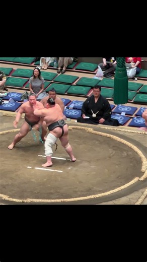 魁郷VS栃丸！2026年大相撲5月場所