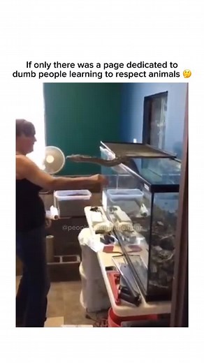 People Poking the Bear | The Python is a genus of constricting snakes in the Pythonidae family native to the tropics and subtropics of the Eastern Hemisphere. The... | Instagram