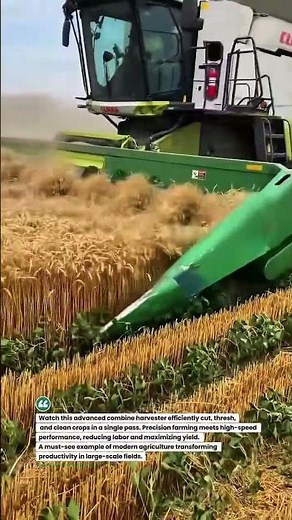 Smart Combine Harvester in Action 🚜🌾 #FarmingTech #HarvestTime #AgriInnovation