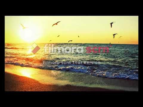 Frenship & Emily Warren - Capsize(1 hour)