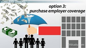 U.S. Health Care Reform: Definition & Policies