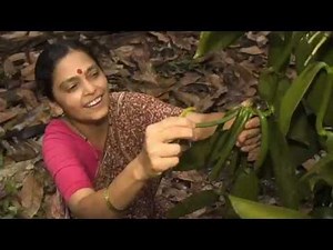 Welcome to Fairtrade