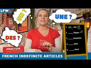 Practise your French indefinite articles Part 1