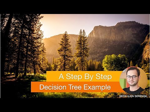 A Step by Step Decision Tree Example in Python: ID3, C4.5, CART, CHAID and Regression Trees