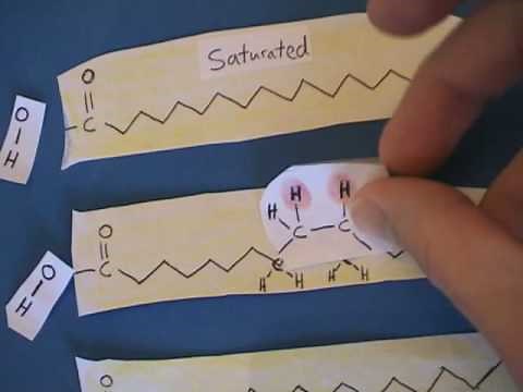 Cis Fat vs Trans Fat