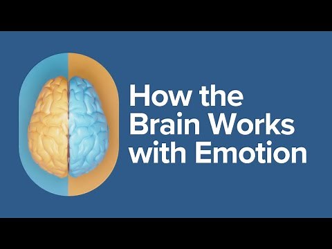 How the Brain Works with Emotion