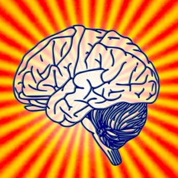 12 Brain Warm Up Exercises That Actually Work
