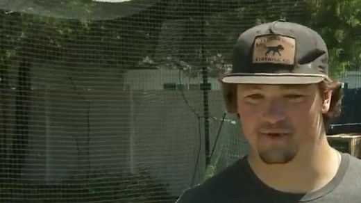 Hackenberg attempting comeback in baseball