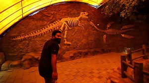 Visiting Marine World Aquarium | M4tech