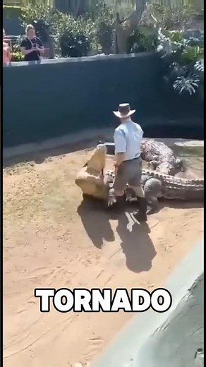 Crocodile Death Roll 😱 Nature’s Most Brutal Attack!