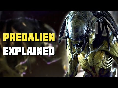 PredAlien - Xenomorph Explained (AVP Lore)