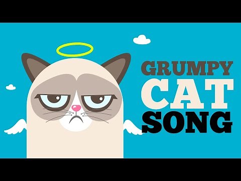☂ GRUMPY CAT SONG ☂