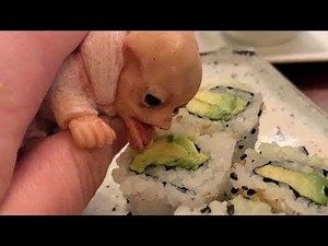 Our alien caterpillar creature eats sushi and wasabi!