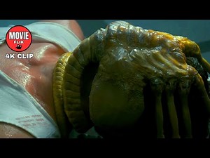 Facehugger Scene | Alien (1979) | 4K Movie Clip