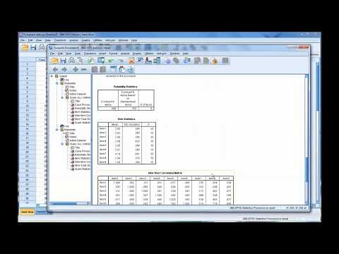 Calculating and Interpreting Cronbach's Alpha Using SPSS