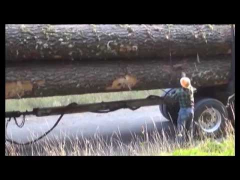 Large Log Loads