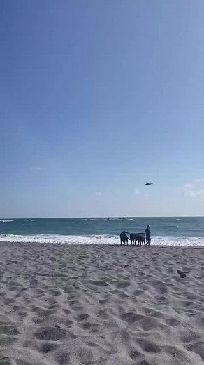 🚨Video Update: Jupiter Inlet Incident🚨 This is video footage from the incident involving our Marine Unit, the apprehension of boat captain Bazaeluis Francois, and the detainment of 14 immigrants. | PBSO - Palm Beach County Sheriff's Office