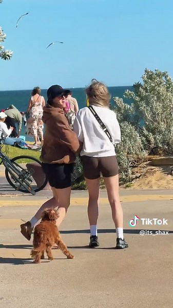 Hilarious Running Prank Video You Can't Miss