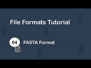 File Formats #4: FASTA