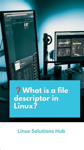 #47 | What is file descriptor in Linux?