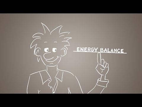 Energy balance explained - get the balance right!