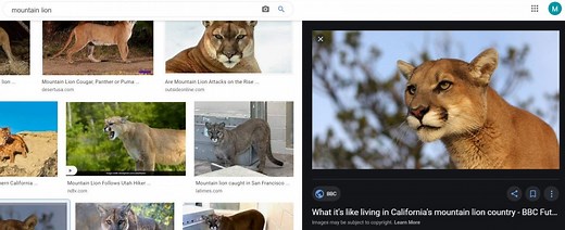 How to Make an STL File & 3D Model From a Photo/Picture