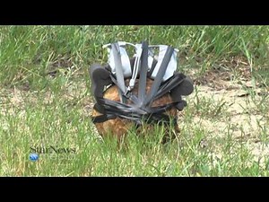 Civil War Era Cannonball Detonated