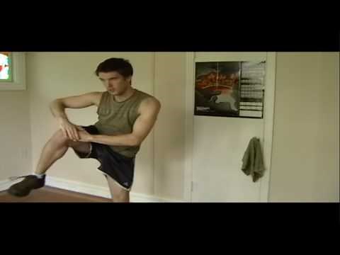 Insanity Workout Review | LIVE Day 1 Fit Test Clips From The Insanity Workout Program