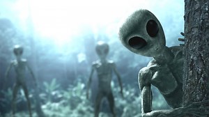 Las Vegas Family's Backyard Alien Footage Is Legit, Hasn't Been Altered, Claims Expert
