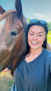 My horses’ registered names!🐴 | Katie Van Slyke