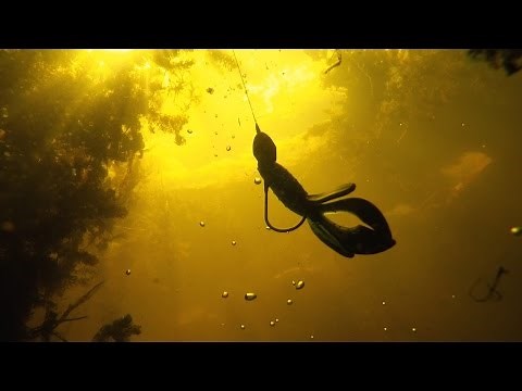 How to Flip and Pitch for Bass Like a Pro