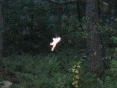 THE ULTIMATE 'REAL FAIRY' VIDEO