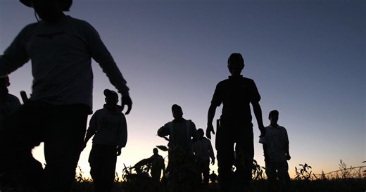 Farmers in Minnesota rely on seasonal migrant workers to keep crops moving