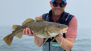 Offshore Jigging Cod | Haddock | Pollock with Hogy Jig-Biki Rigs