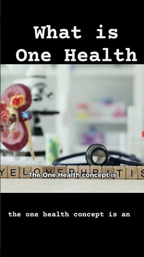 One Health approach