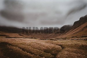 20 Fun Numbers Quiz Questions and Answers