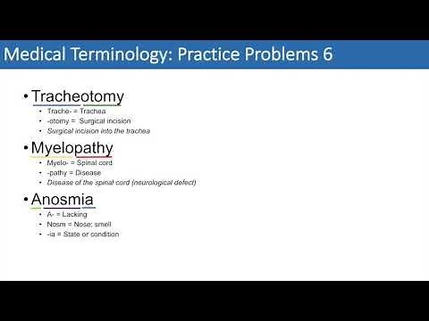 Medical Terminology | The Basics and Anatomy | Practice Problems Set 1