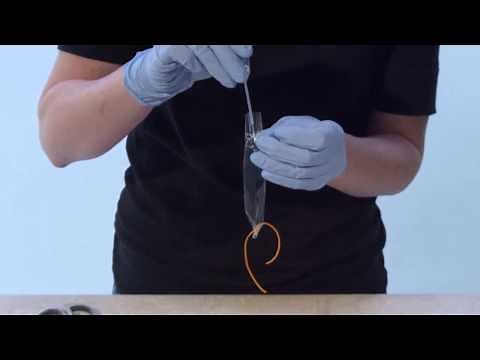 Biology Experiment 3 HOL Diffusion across a membrane