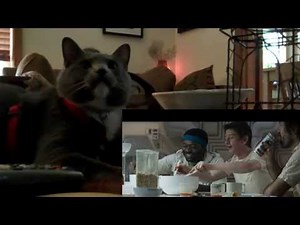 映画エイリアンを見て目が離せないネコ その2 【比較】