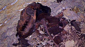 Tiny Mummy’s ‘Alien’ Appearance Finally Explained